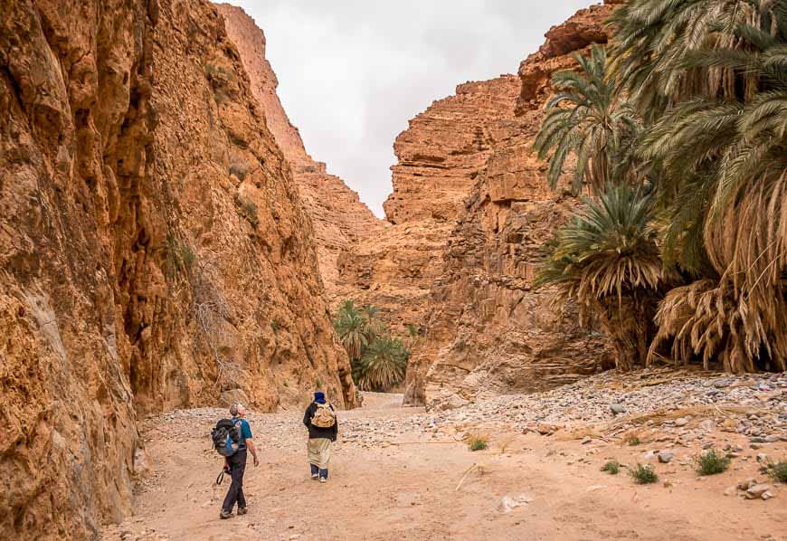 Hiking in Dades Gorges